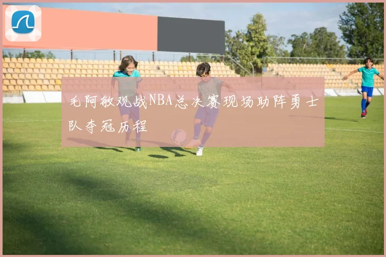 毛阿敏观战NBA总决赛现场助阵勇士队夺冠历程