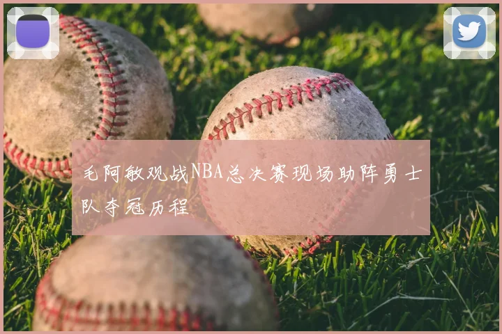 毛阿敏观战NBA总决赛现场助阵勇士队夺冠历程