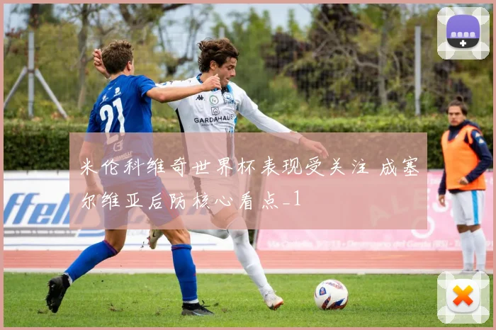 米伦科维奇世界杯表现受关注 成塞尔维亚后防核心看点_1